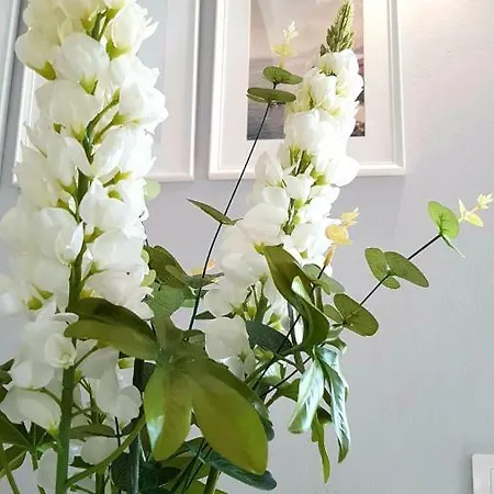 Lägenhet Atico En El Corazon De Cruz/ Cozy Penthouse