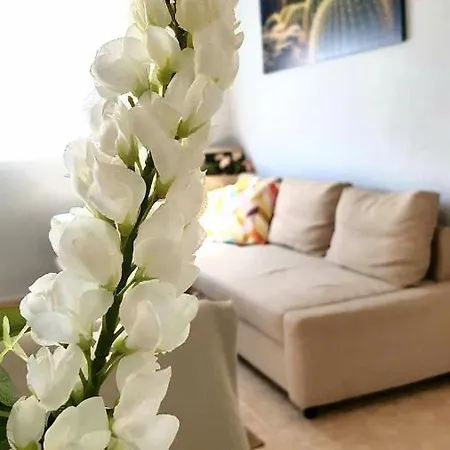 Atico En El Corazon De Cruz/ Cozy Penthouse Lejlighed *