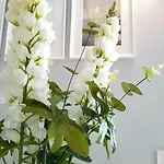 Apartment Atico En El Corazon De Cruz/ Cozy Penthouse