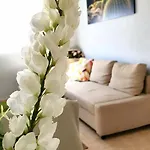 Atico En El Corazon De Cruz/ Cozy Penthouse Apartment *