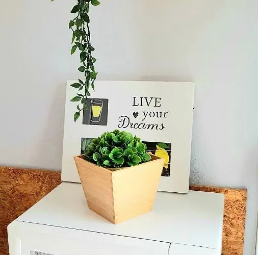 Appartamento Atico En El Corazon De Cruz/ Cozy Penthouse Santa Cruz de Tenerife