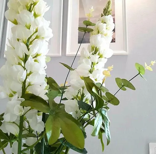 Appartamento Atico En El Corazon De Cruz/ Cozy Penthouse