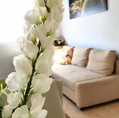 Atico En El Corazon De Cruz/ Cozy Penthouse 아파트 *